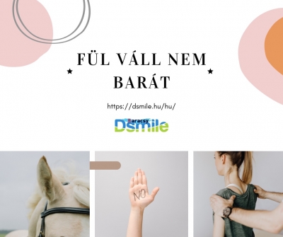 Veronika t&ouml;rt&eacute;nete