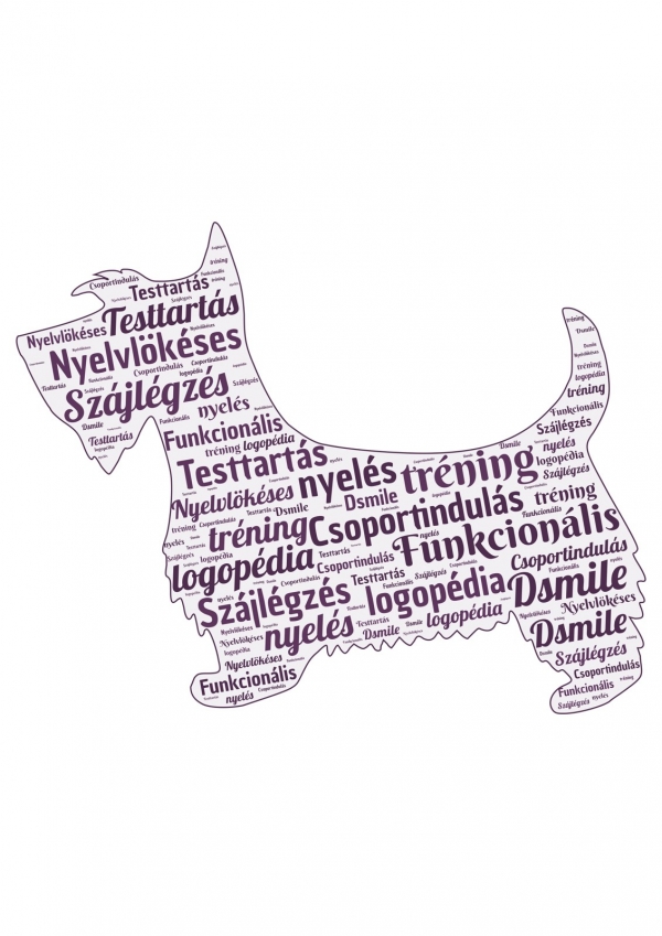 Dsmile alapok-Elők&eacute;sz&iacute;tő tanfolyam