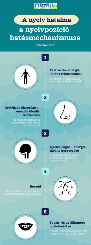 Kontroll vizsg&aacute;lat